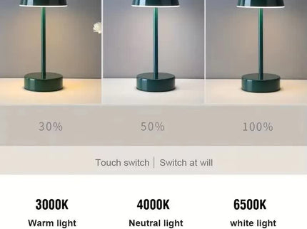 Coffee Modern Minimalist LED Table Lamp - Rechargeable Touch Control Desk Light