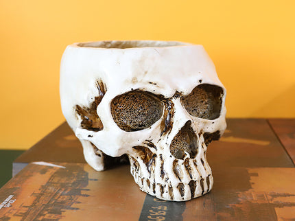 White Halloween Skull Resin Desktop Ornament and Pen Holder - Spooky Decor