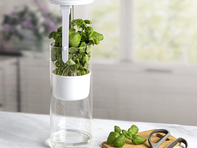 White Premium Herb Savor & Freshness Keeper - Extends Life of Herbs, Cilantro, Parsley & More