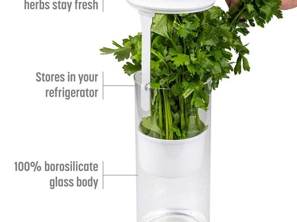 Green Premium Herb Savor & Freshness Keeper - Extends Life of Herbs, Cilantro, Parsley & More