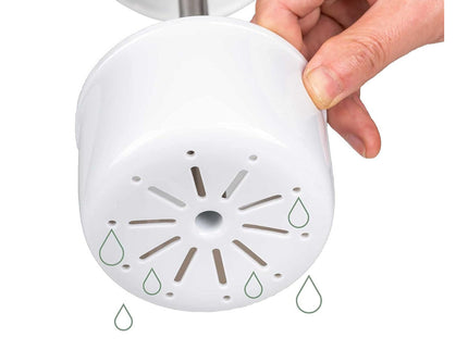 Green Premium Herb Savor & Freshness Keeper - Extends Life of Herbs, Cilantro, Parsley & More