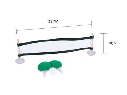 Teeny Tiny Table Tennis Set