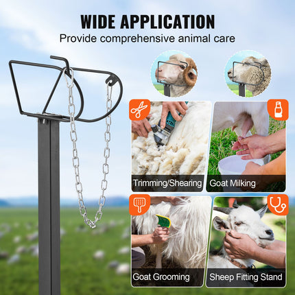 Goat & Sheep Stand, 51x23 inch Livestock Stand, Metal Livestock Milking and Shearing Stand 21" to 33" Adjustable Height, with Headpiece and Nose Loop, 500lbs Loading Weight, Black