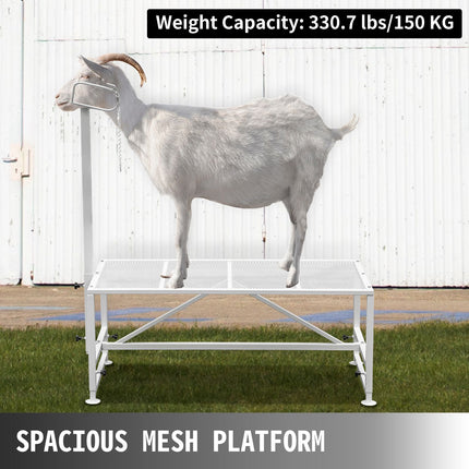 Livestock Stand 51x23 inches, Trimming Stand with Straight Head Piece, Goat Trimming Stand Metal Frame Sheep Shearing Stand Livestock Trimming Stands