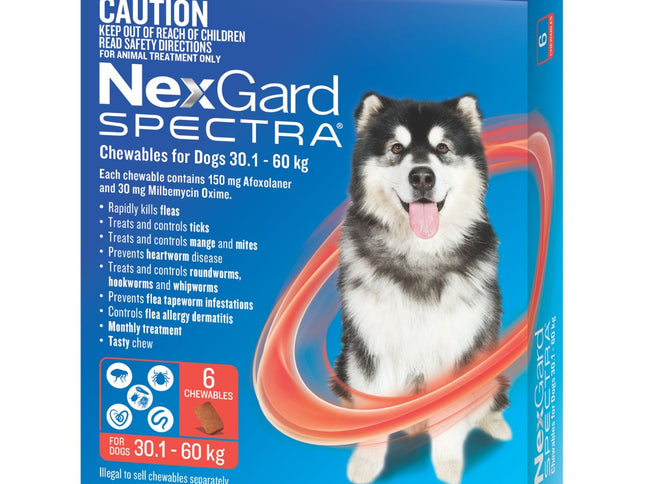 NexGard Spectra Dogs 30.1-60kg 6pk-2018816694658666498