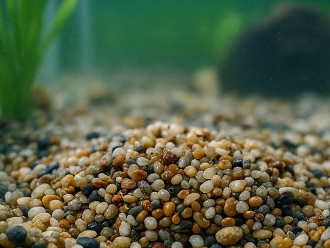 2x Showmaster 4-6mm Gold Pebbles 5kg-2029387220196134913