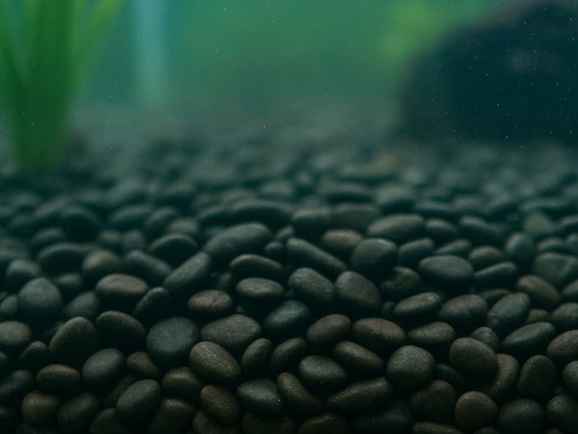 Showmaster 4-6mm Black Pebbles 5kg-2018816622088818689