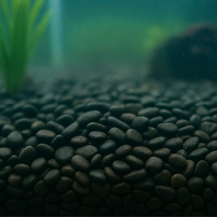 Showmaster 4-6mm Black Pebbles 5kg-2018816622088818689