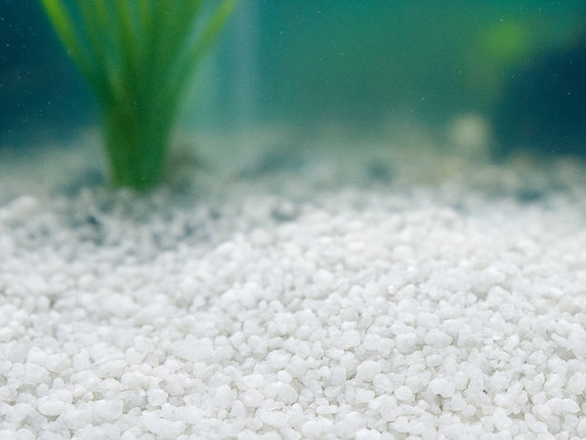 3x Showmaster Aussie White Aquariam Sand 5kg-2029387220804308993