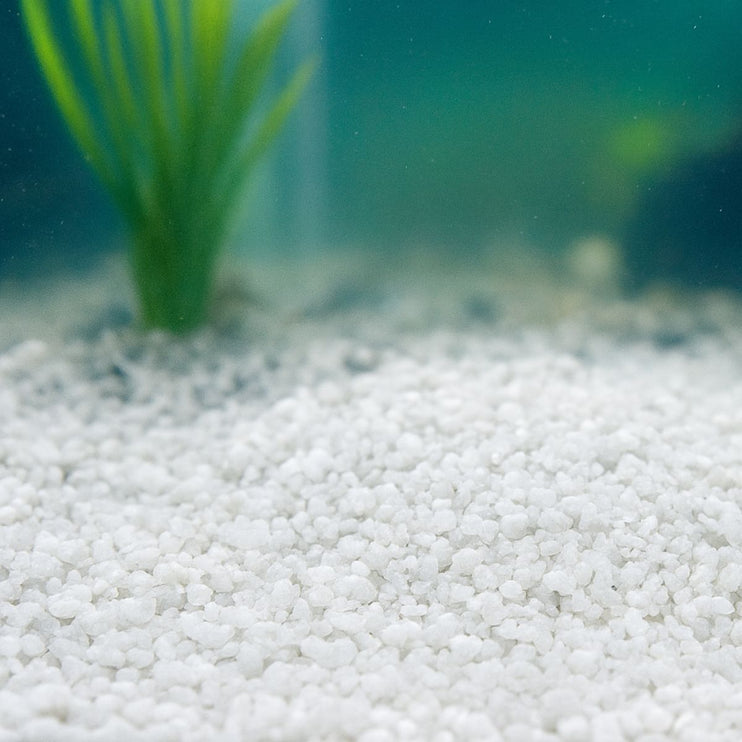 3x Showmaster Aussie White Aquariam Sand 5kg-2029387220804308993
