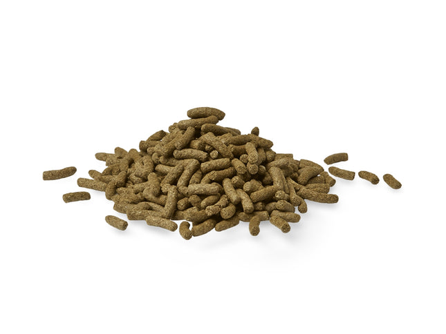 Peters Fibre Right Adult Rabbit 1Kg-2029334130071834626