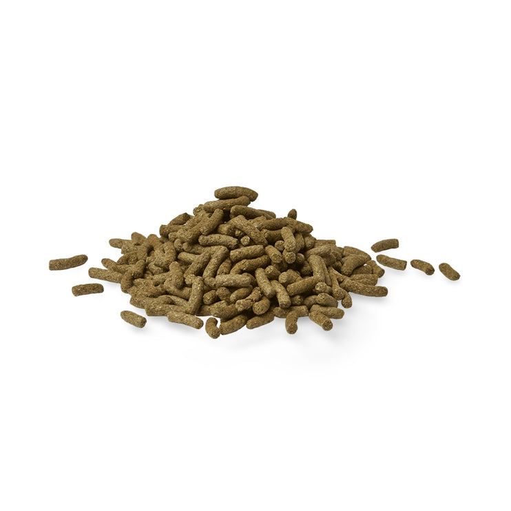 Peters Fibre Right Adult Rabbit 1Kg-2029334130071834626