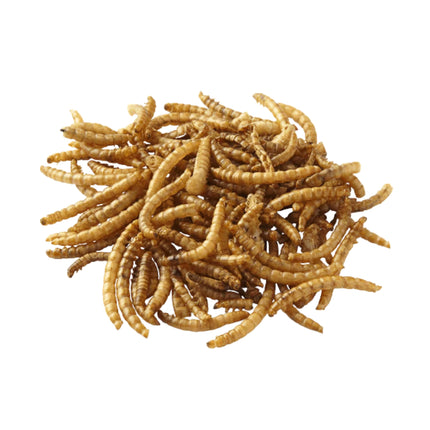 Peters Wormies 40g x5-2029334131657281539