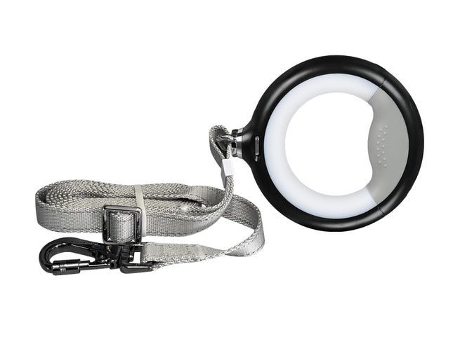 PaWz LED Dog Leash Lead Walking Rope Black-1864184546673692672