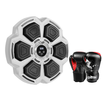 Centra Punching Box With 12OZ Boxing Glove Grey-1973193423703904256