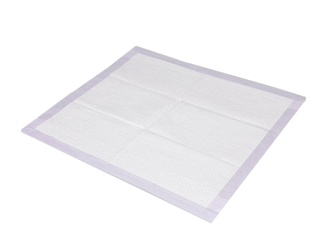 PaWz 400x Pet Dog Toilet Training Pad-1864184552445054976