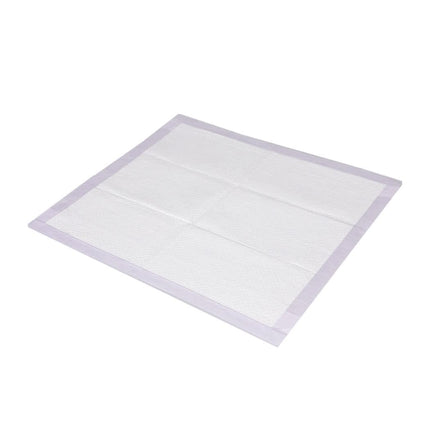 PaWz 200x Pet Dog Toilet Training Pad-1954802567473139712