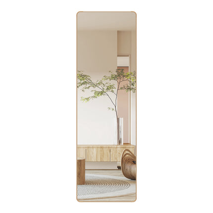 Yezi 120cm Wall Mounted Full Length Mirror Door Hanging-1973193505610272768