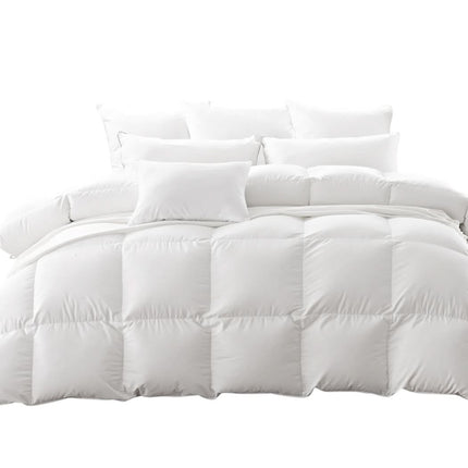 DreamZ 500GSM All Season Goose Down Queen-1954803026946560000