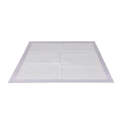 PaWz 200x Pet Dog Toilet Training Pad-1954802567473139713