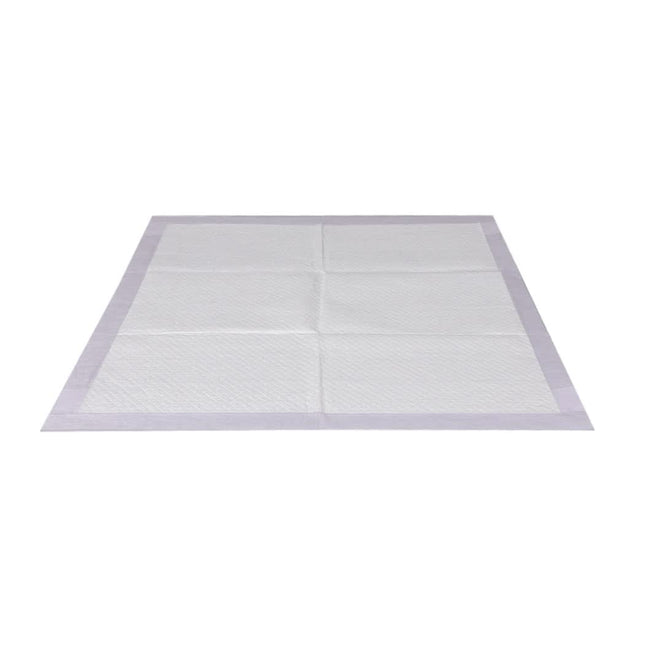 PaWz 200x Pet Dog Toilet Training Pad-1954802567473139713
