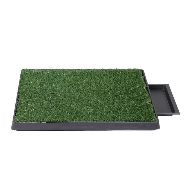 PaWz Indoor Dog Pet Grass Potty Training-1973193644366237697