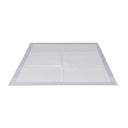 PaWz 400x Pet Dog Toilet Training Pad-1973193682102390785