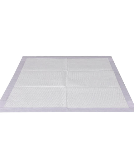 PaWz 400x Pet Dog Toilet Training Pad-1973193682102390785