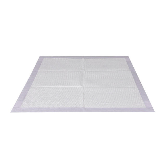 PaWz 400x Pet Dog Toilet Training Pad-1973193682102390785