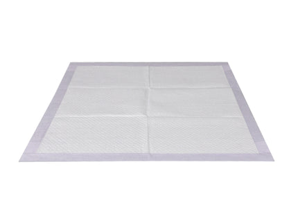 PaWz 400x Pet Dog Toilet Training Pad-1864184552445054977