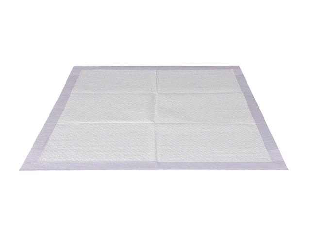 PaWz 400x Pet Dog Toilet Training Pad-1864184552445054977