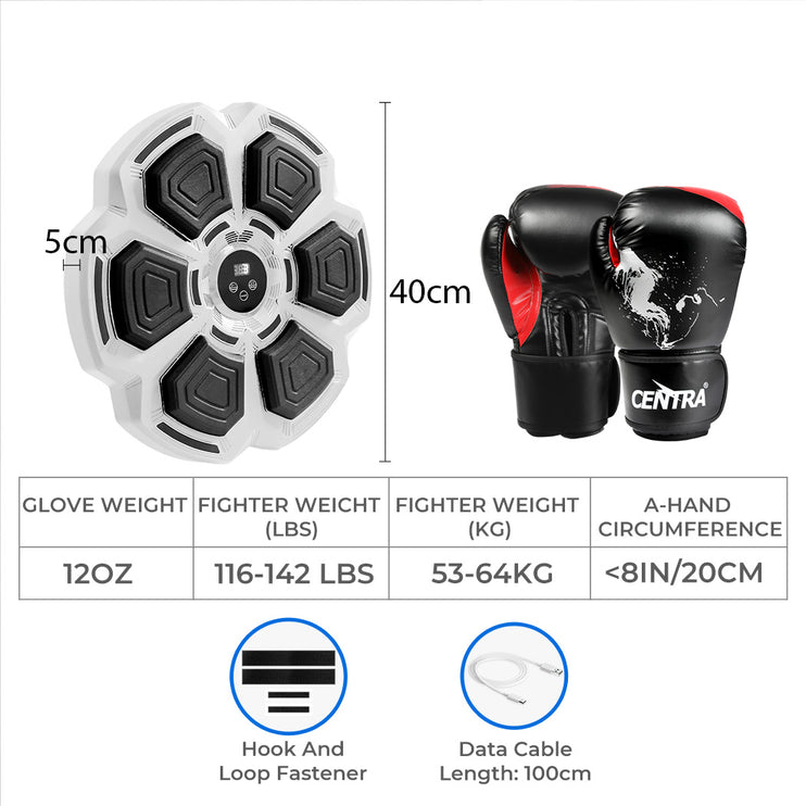 Centra Punching Box With 12OZ Boxing Glove Grey-1973193423703904258