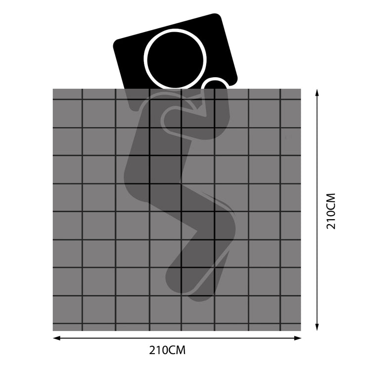 DreamZ 700GSM All Season Goose Down Queen-1973193831411224578