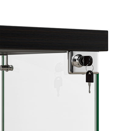 Stacked Display Cabinet Collection Storage Tempered Glass 2 Tier With Lock Black-1973193459078664195