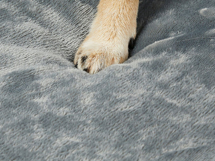 Pawz Orthopedic Dog Bed XXL Grey-1910112254498574339