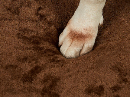 Pawz Orthopedic Dog Bed L Coffee-1910112251533201411