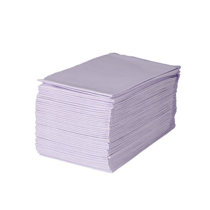 PaWz 200x Pet Dog Toilet Training Pad-1975420396429774852