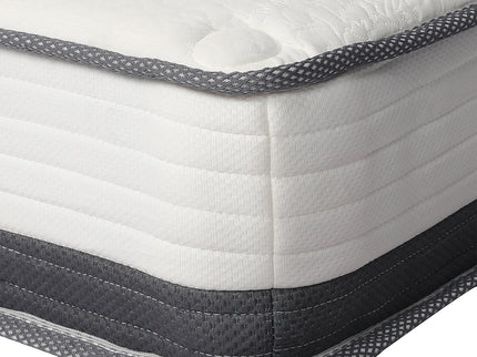 Dreamz Pocket Spring Mattress HD Foam Double-1864184416130174981