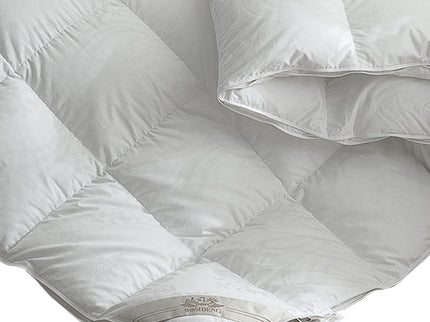 DreamZ 500GSM All Season Goose Down Single-1910113007145455621