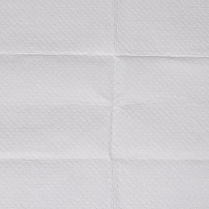PaWz 400x Pet Dog Toilet Training Pad-1973193682102390789