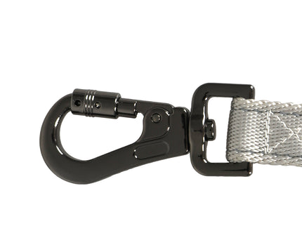 PaWz LED Dog Leash Lead Walking Rope White-1864184546812104709