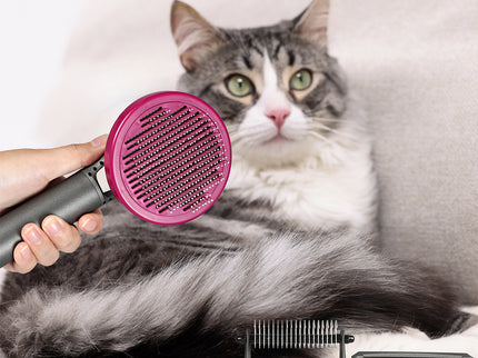 PaWz Pet Grooming Tools-1864184561991290886