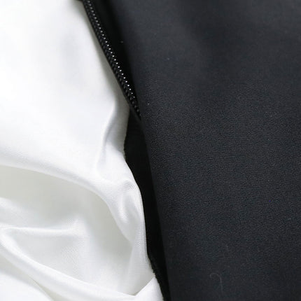 PaWz Dog Car Seat Booster Belt Black-1973193691564740613