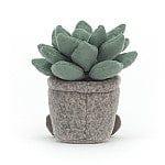 Jellycat Silly Succulent Azulita-1875027553157255169
