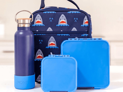 Little Lunch Box Co Bento Two Blueberry-1875027478192459783