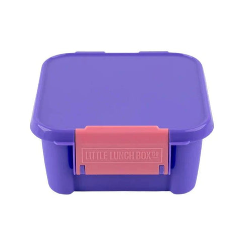 Little Lunch Box Co Bento Two Blueberry-1875027478192459777