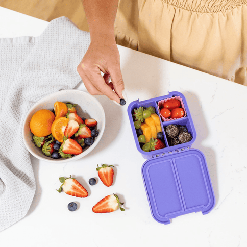 Little Lunch Box Co Bento Two Apple-1875027478041464834