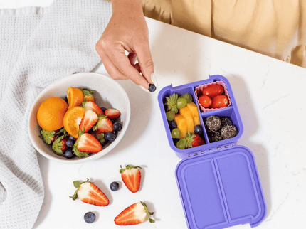Little Lunch Box Co Bento Two Grape-1875027478393786370