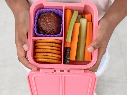 Little Lunch Box Co Bento Two Grape-1875027478393786372