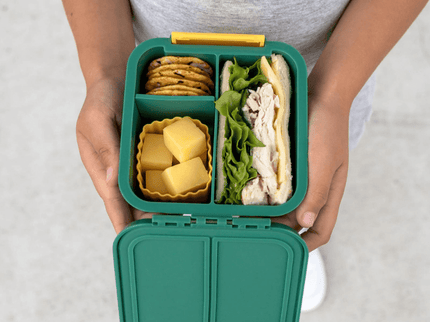 Little Lunch Box Co Bento Two Blueberry-1875027478192459781